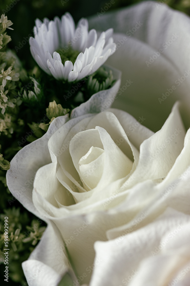 Detalle de flores blancas para muertos Detalle de flores blancas para muertos