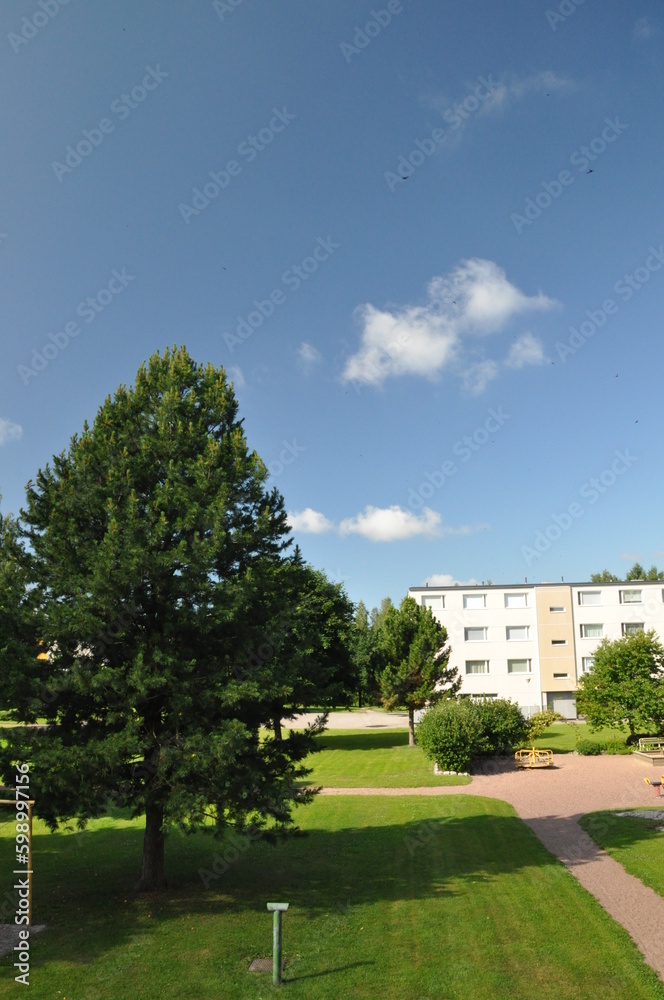 White and beige apartment building with a lovely green yard. Big conifer, juniper, pine tree. Sand path and playground for childern. Warm summer day and blue sky with small clouds.