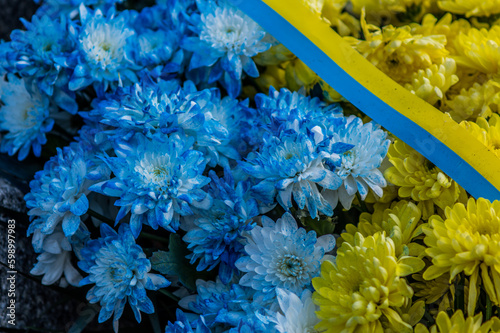 bright yellow-blue flowers in the park