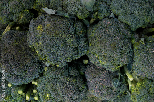 Freshly harvested italian broccoli at the farmer's market stand. A vibrant display of greens straight from the farm. Close up, copy space, top view, background.