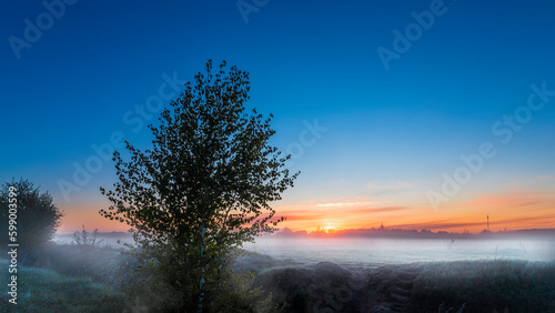 Sunrise field fog in morning. Spring landscape