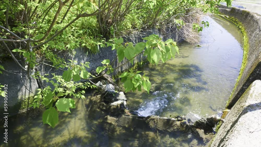 田舎の水路と勢いよく流れる水 田舎の水路と勢いよく流れる水