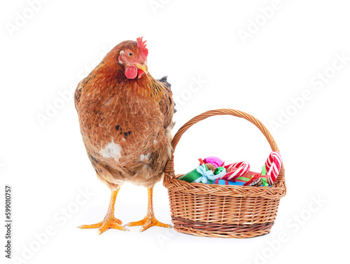 Brown chicken with gifts in the basket.