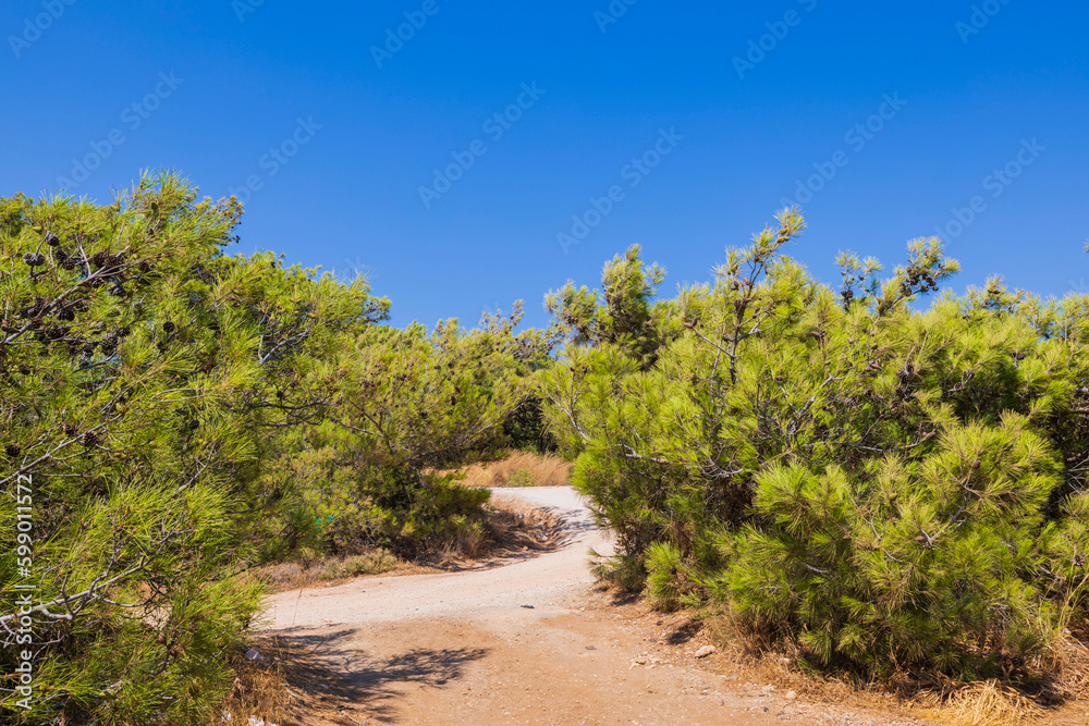 Beautiful view of mountain green pine trees on island of Rhodes. Greece. Beautiful view of mountain green pine trees on island of Rhodes. Greece.