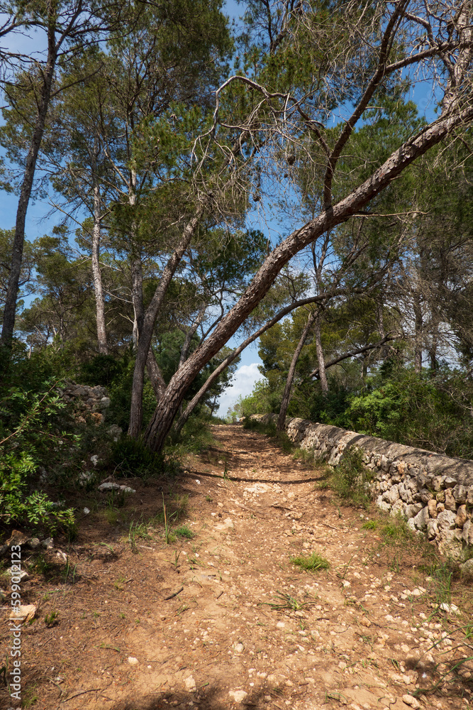 Park Natural de Mondrago, Mallorca, Spain