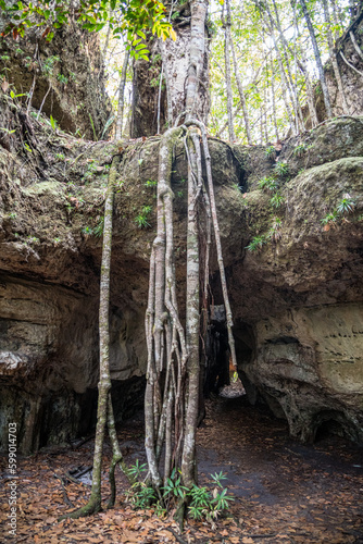 Rocky area of natural caves in the Colombian Amazon