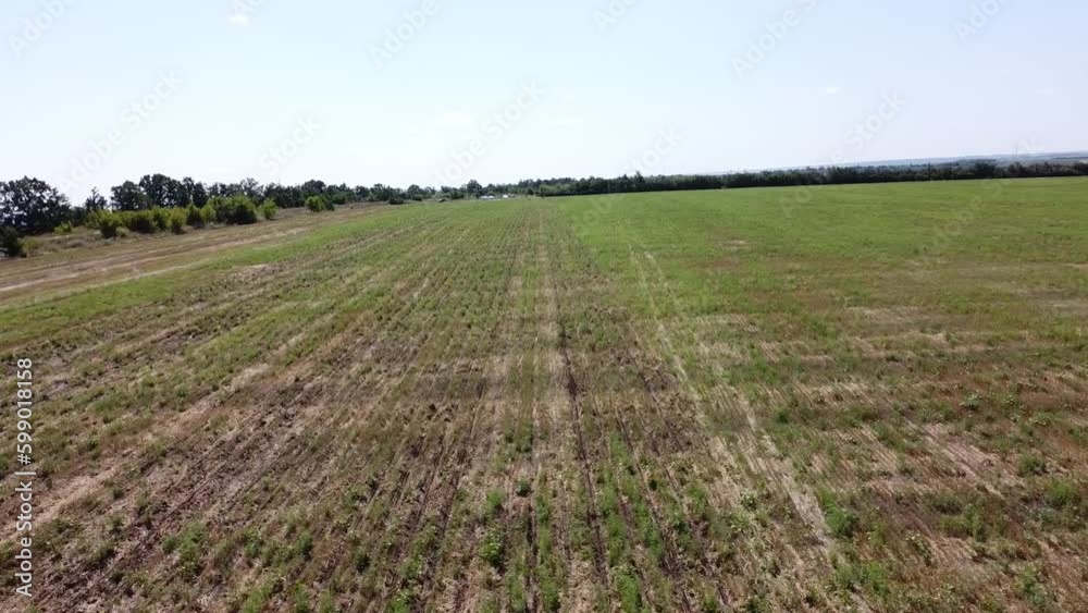Blue tractor planting canola O.A. on no till field Blue tractor planting canola O.A. on no till field