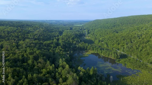 4K Aerial Drone Fly Toward Lake over Mountain Forest on Summer Day. Sun at medium height