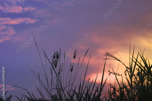 Blur the pastel sky background and outline the grass.