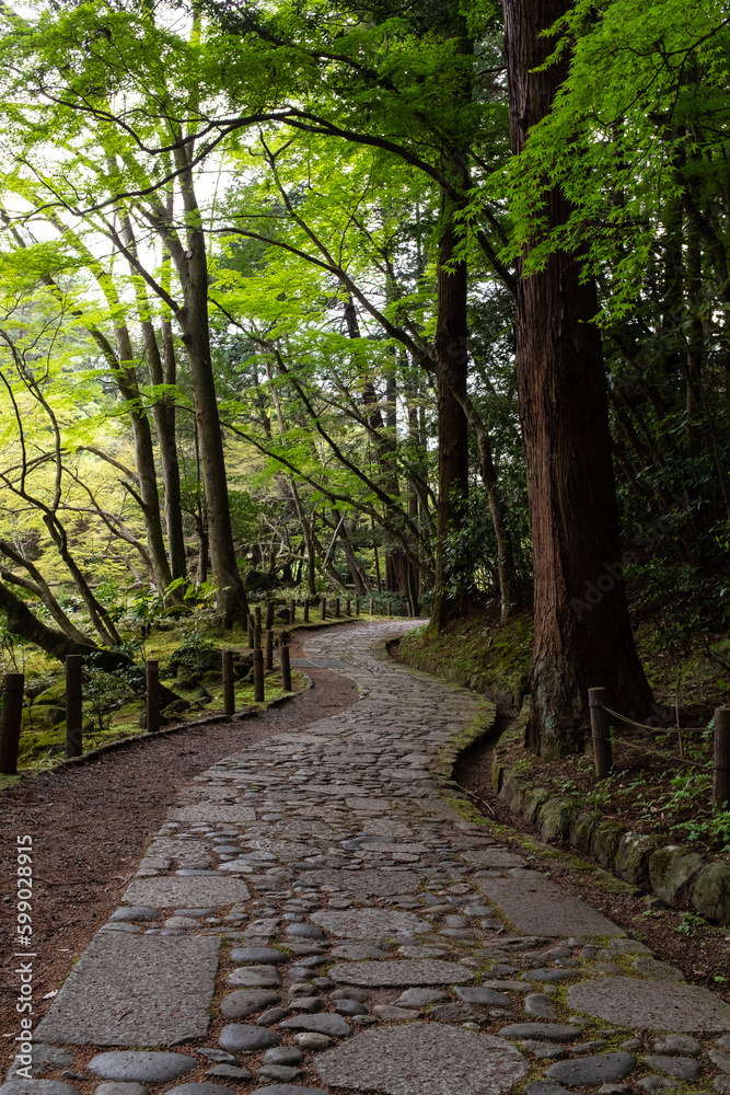 Fototapeta premium Walking path at Naritasan Shinsho-ji temple
