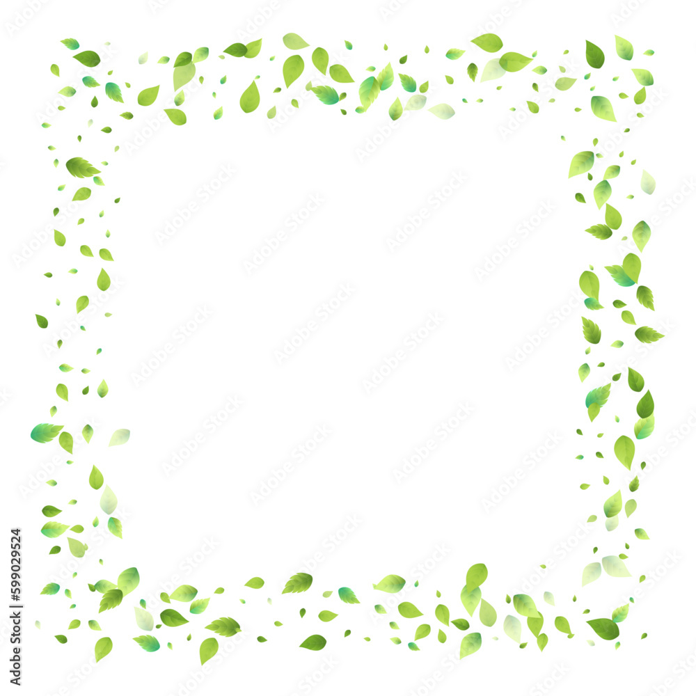 Leaves Green Falling Flying Foliage Leaf Tea Mint Leaves Green Falling Flying Foliage Leaf Tea Mint