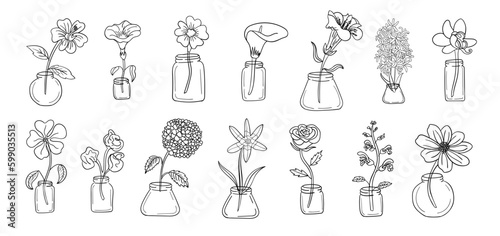 Fotografie, Obraz Realistic flower pot line art set. Perfect for illustrations.