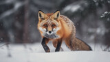 Red fox looking cute in snowy forest generated by AI