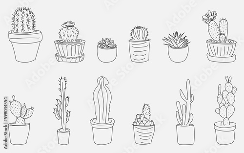 Vector set of cacti in the doodle style. Cute black and white cacti and succulents in pots. Vector illustration isolated on a white background.