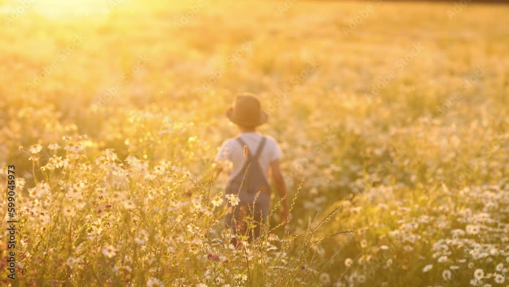 A child girl walks along the summer field gently touching the tops of daisy flowers. The girl is walking through the flower meadow. The concept of summer or vacation at grandma's on Generative AI A child girl walks along the summer field gently touching the tops of daisy flowers. The girl is walking through the flower meadow. The concept of summer or vacation at grandma's on Generative AI