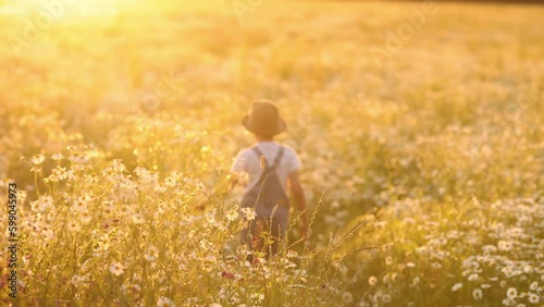 A child girl walks along the summer field gently touching the tops of daisy flowers. The girl is walking through the flower meadow. The concept of summer or vacation at grandma's on Generative AI