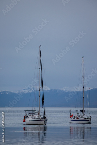 Embarcaciones en el puerto de Ushuaia  Tierra del Fuego  Argentina