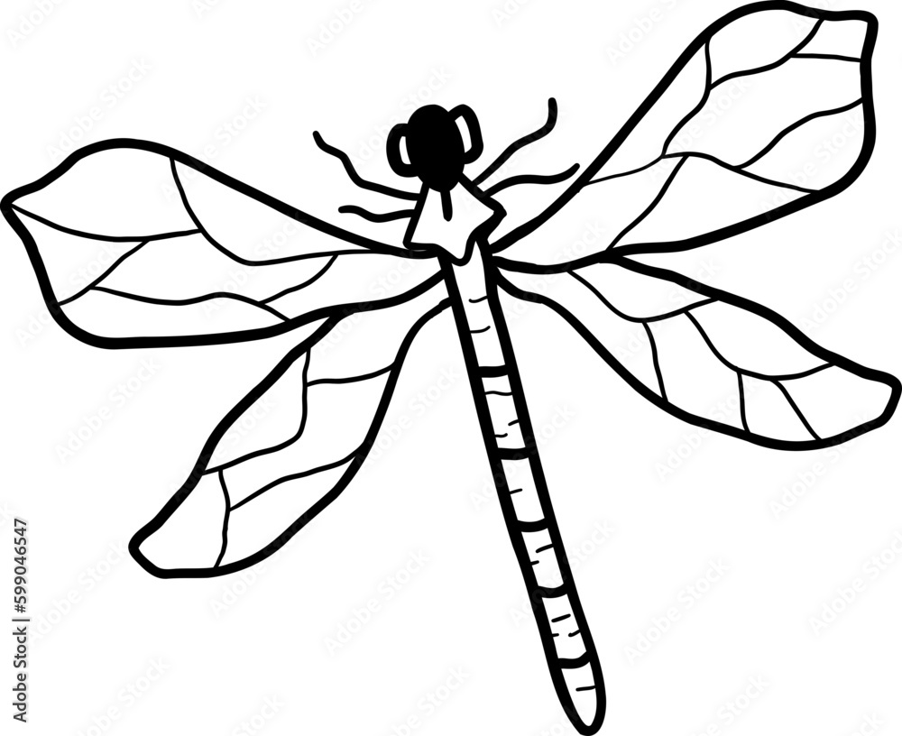 dragonfly lineart illustration. hand-drawn dragonfly illustration dragonfly lineart illustration. hand-drawn dragonfly illustration