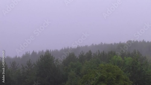 Heftiger Gewitterregen mit Originalton. Horizontaler Kamerazug über die Baumkronen eines Waldes. photo