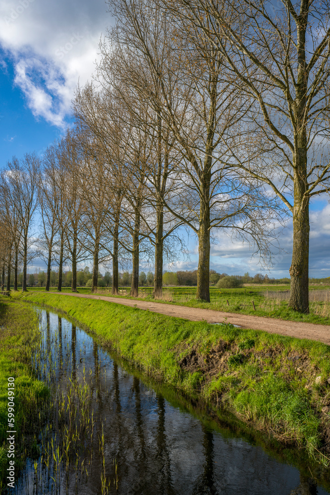 Landschaft mit einem Feld und Wassergraben und bewölktem Himmel Landschaft mit einem Feld und Wassergraben und bewölktem Himmel