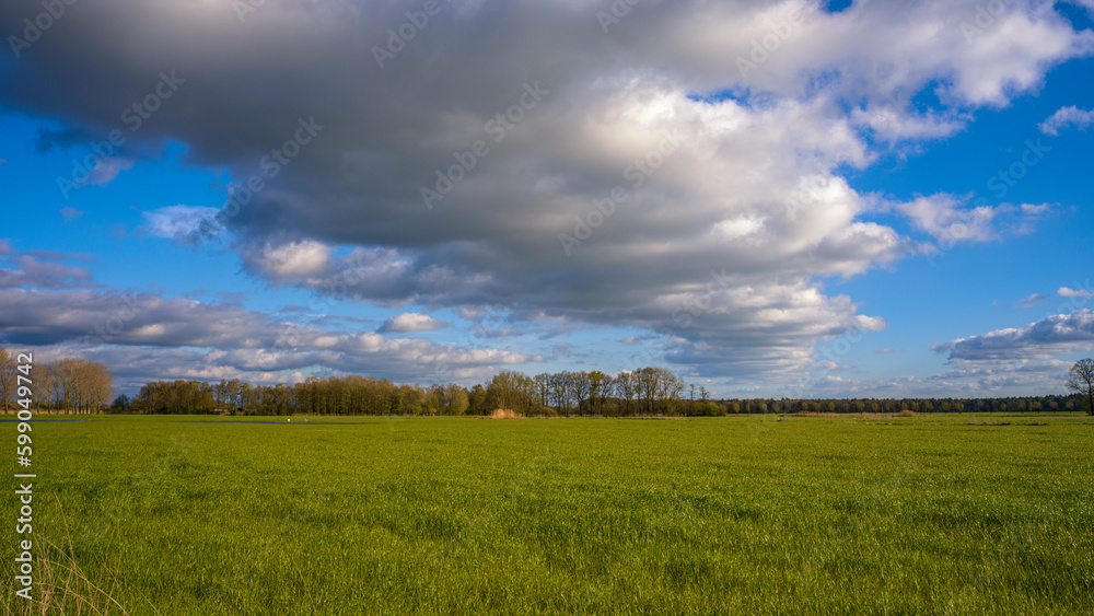 ein grünes Feld vor bewölktem Himmel - Biest Houtacker