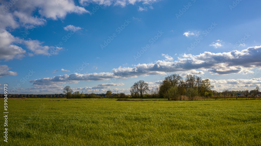 ein grünes Feld vor bewölktem Himmel - Biest Houtacker ein grünes Feld vor bewölktem Himmel - Biest Houtacker