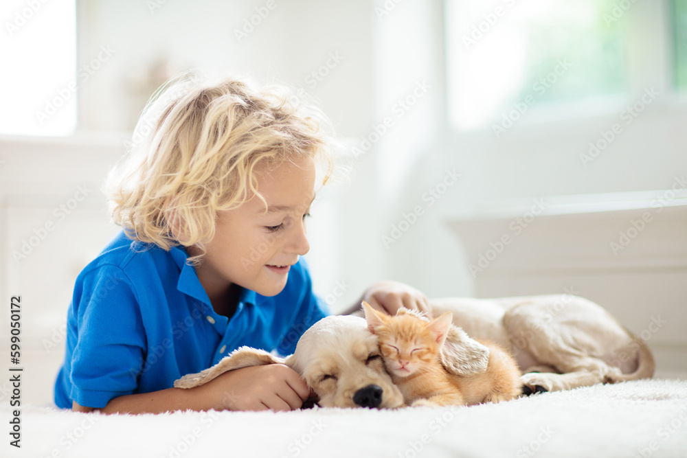 Child, dog and cat. Kids play with puppy, kitten. - obrazy, fototapety, plakaty 