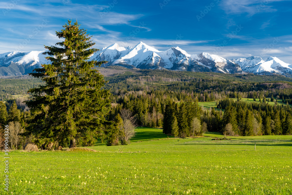 Wiosna pod tatrami. Spring under the Tatras