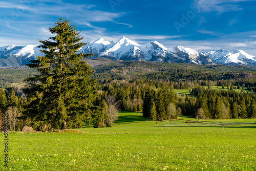 Obraz na płótnie Wiosna pod tatrami. Spring under the Tatras w salonie