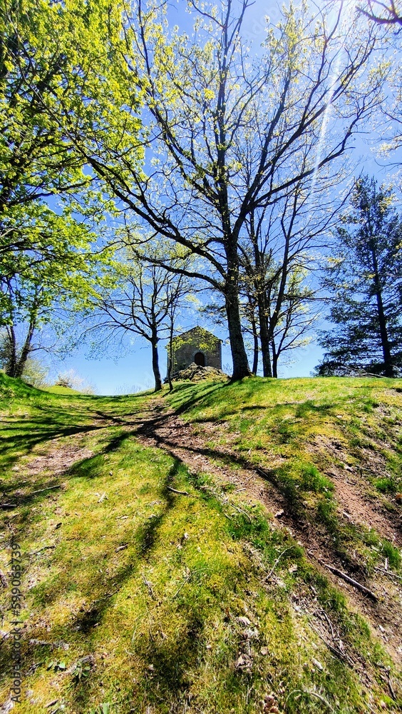 LES SALLES (Loire)