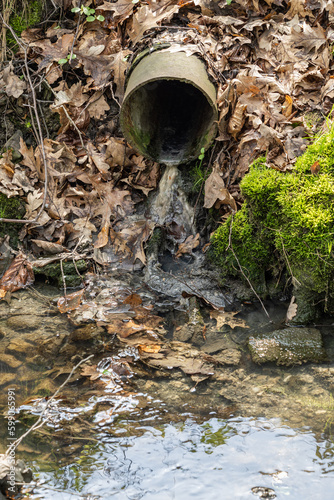 Discharge from a metal pipe by a forest stream.