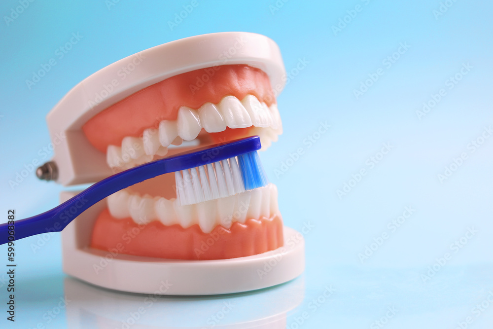 Dentist's tools and a dental model of teeth on a blue background close up Dentist's tools and a dental model of teeth on a blue background close up