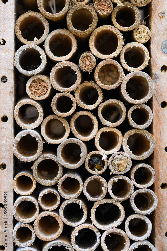 insect hotel, also known as a bug hotel or insect house insect hotel, also known as a bug hotel or insect house