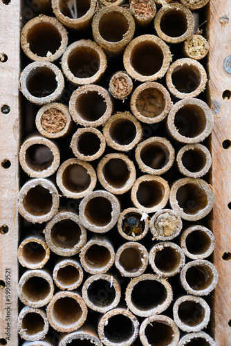 insect hotel  also known as a bug hotel or insect house