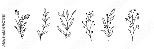 Set hand drawn curly grass and flowers on white isolated background. Botanical illustration. Decorative floral picture. Vector illustration.