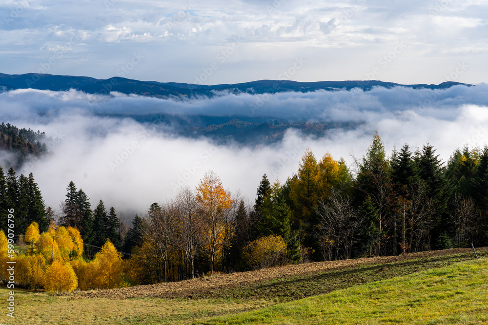 Jesień w Beskidzie Sądeckim.
Autumn in Beskid Sądecki.