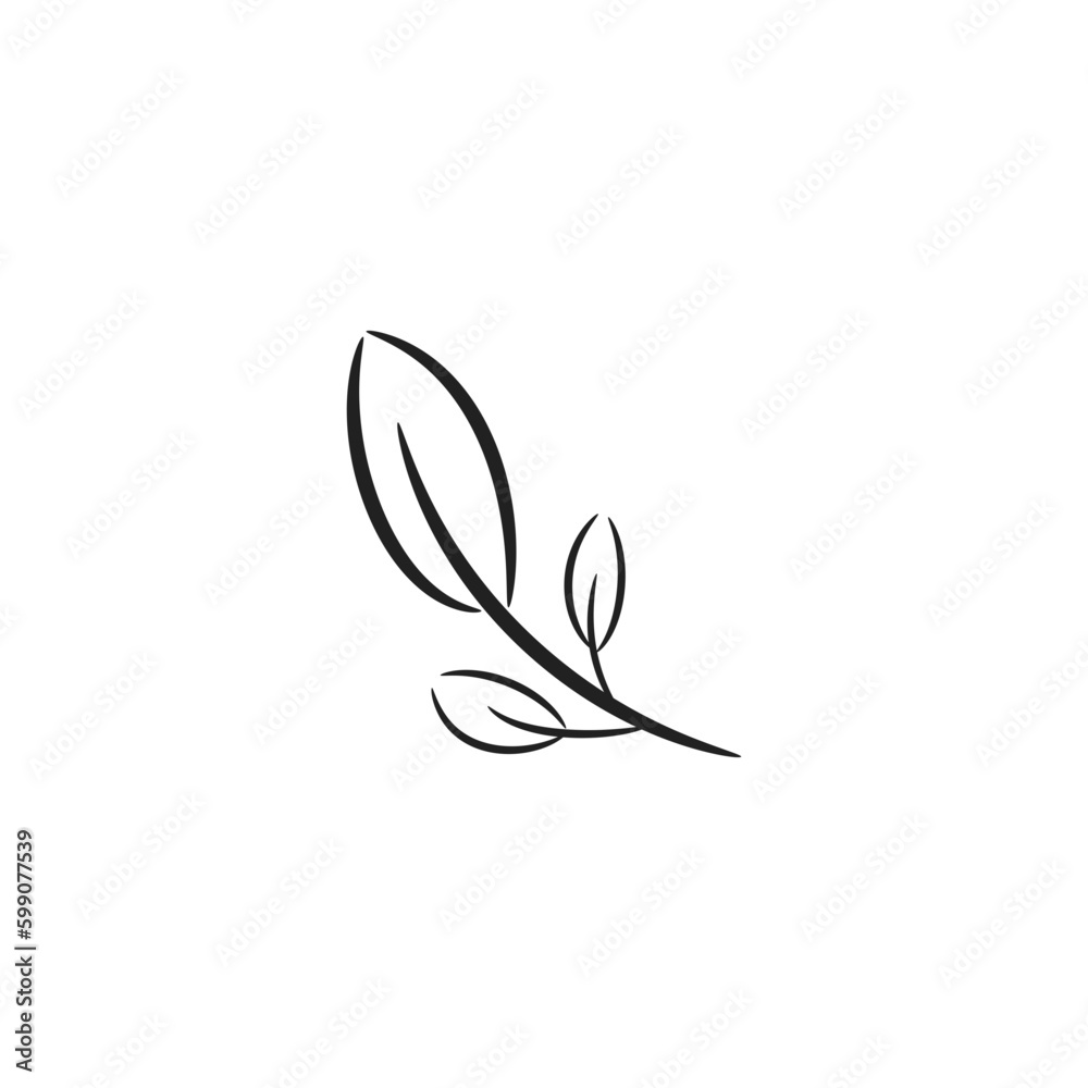 leaf line art with branches, stem and foliage vector illustration.