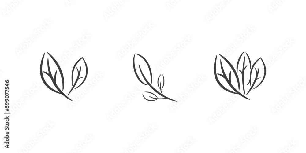 tea leaves decorative line art. simple leaves botanical branches with stem and foliage vector illustration.