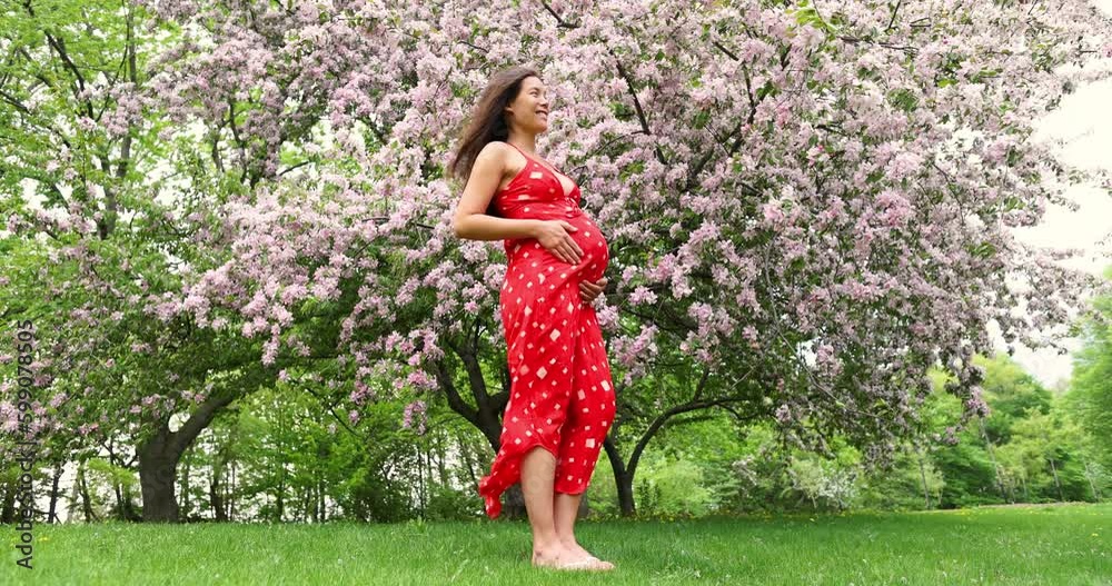 Pregnant woman portrait in cherry blossom trees pink spring flowers. New season and new life