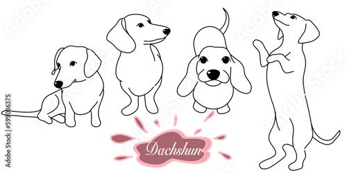 dachshund doodle illustration,dog poses,dog breed,dachshund in action