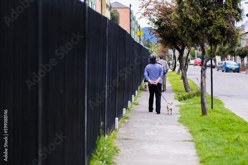 Grandparents couple walk their little dogs around the neighborhood at noon