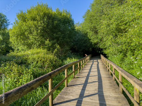 Wooden pathway in Fiaes