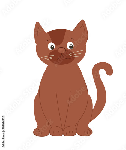 Fototapeta Naklejka Na Ścianę i Meble -  Cute brown kitten standing. Cat, domestic animal and pet stands and looks. Mascot or toy for kids. Sticker for social networks and messengers. Cartoon flat vector illustration