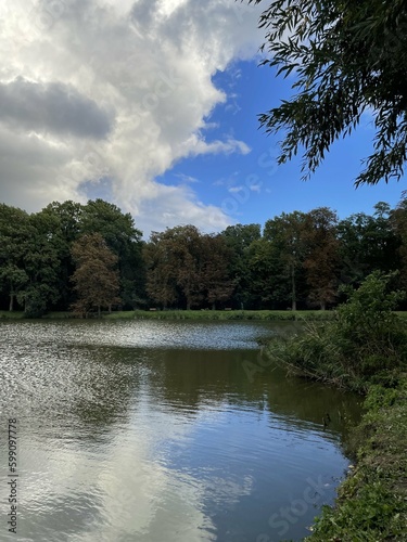 lake in the forest