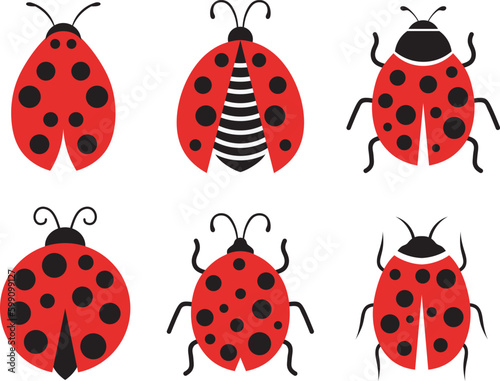 set of ladybug