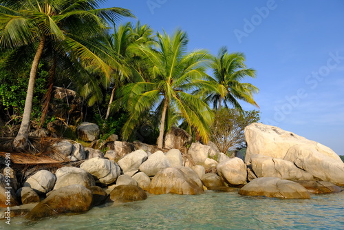 Indonesia Anambas Islands - Telaga Island coast with rocks and palm trees