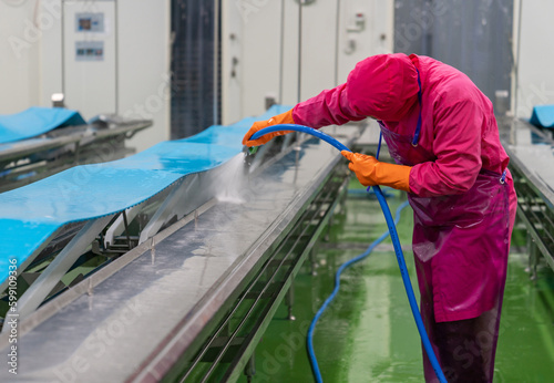 Worker use high pressure water spray cleaning conveyor belt after finishing daily job