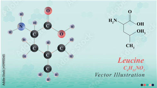 Leucine Molecule Structure chemical vector illustration