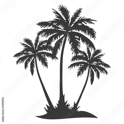 Foto palm tree silhouette