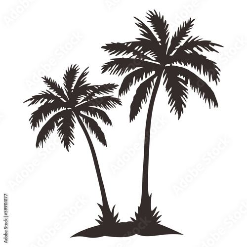 palm tree silhouette